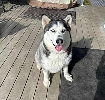 Photo of Dakota