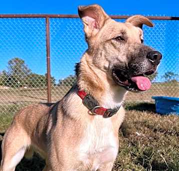 Photo of Nellie