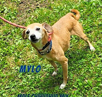 Photo of Mylo