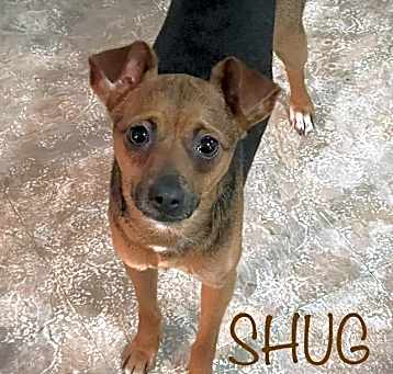 Photo of Shug