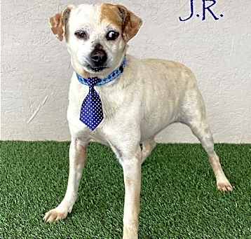 Photo of JR
