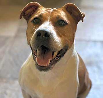 Photo of Addie