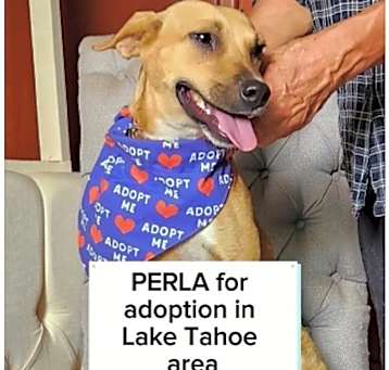 Photo of Perla