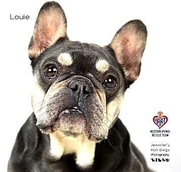Photo of Louie