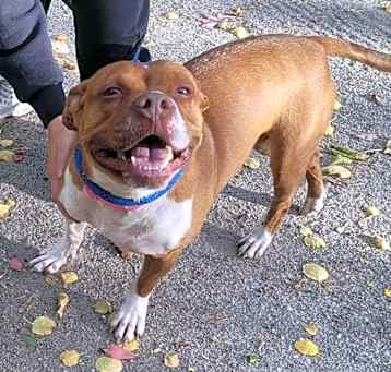 Photo of Mabel