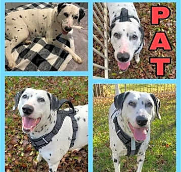 Photo of Pat