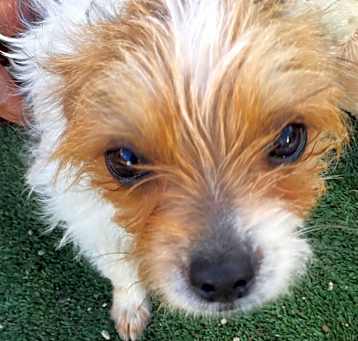 Photo of Gorgeous Milly