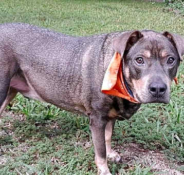 Photo of Zesty Zeke