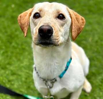 Photo of Bessie
