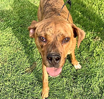 Photo of Tucker