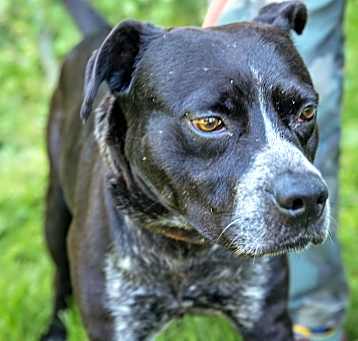 Photo of Bruce