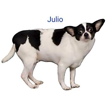 Photo of Julio