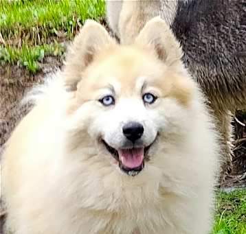 Photo of Bear Kendall