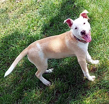 Photo of Rhea (Iowa)