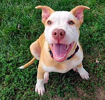 Photo of Calypso (Iowa)