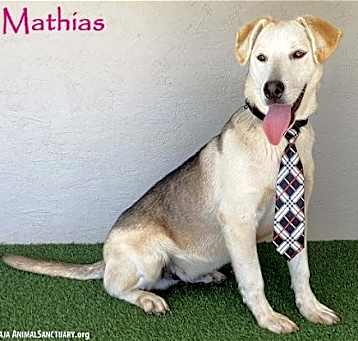 Photo of Mathias