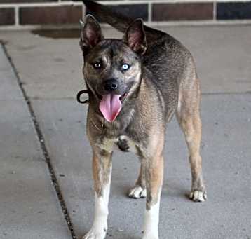 Photo of Mae
