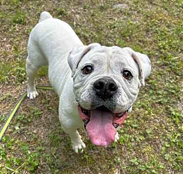 Photo of Bronx