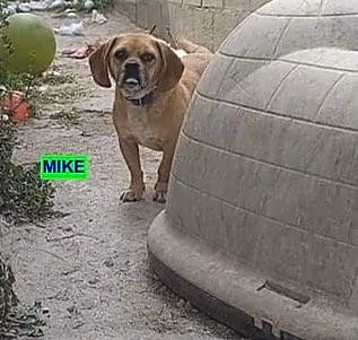 Photo of Mike