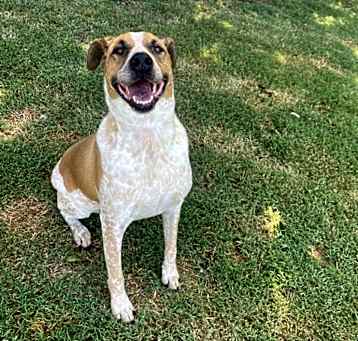 Photo of Riggs