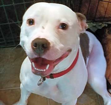 Photo of Missy