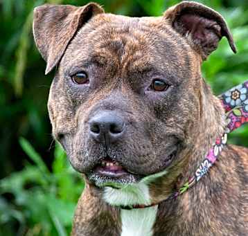 Photo of Roxy