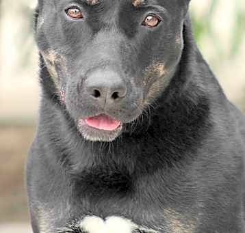 Photo of Skylar von Roxy