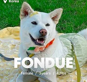 Photo of Fondue