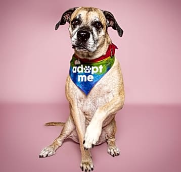 Photo of Penny