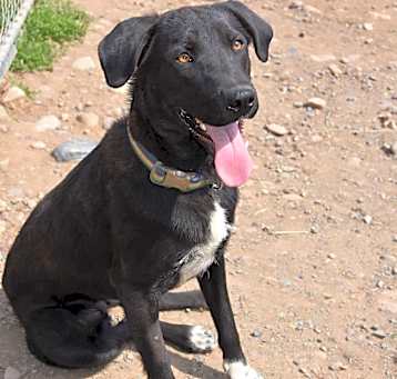 Photo of Roxy