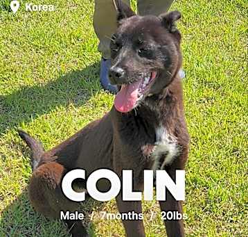 Photo of Colin