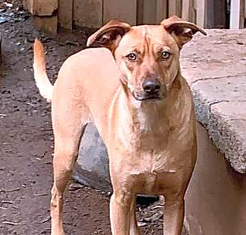 Photo of Julio