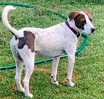 Photo of Rodolfo