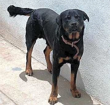 Photo of Zeus