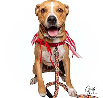 Photo of Kyson **Foster home**