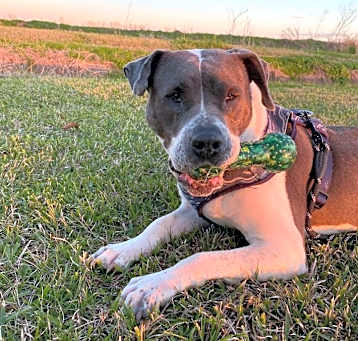 Photo of Faith