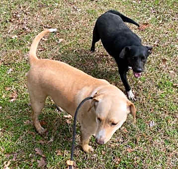 Photo of Sam and Dean