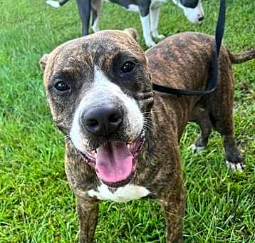 Photo of Zeke