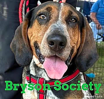 Photo of Bryson Society