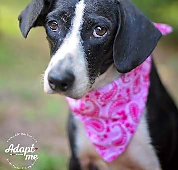 Photo of Jazz
