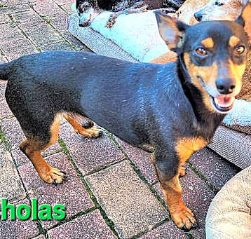 Photo of Nicholas