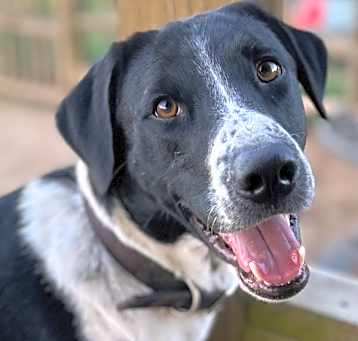 Photo of Brody