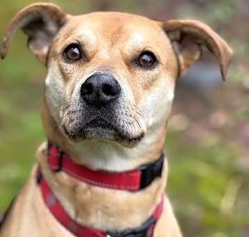 Photo of Roxy