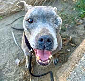Photo of Jasper