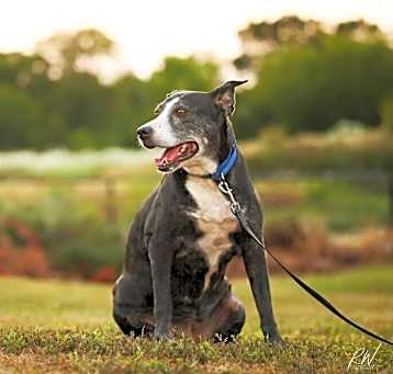 Photo of Kori