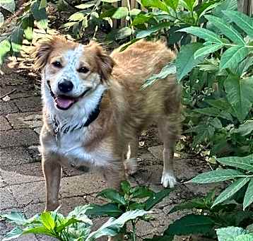 Photo of Meeka