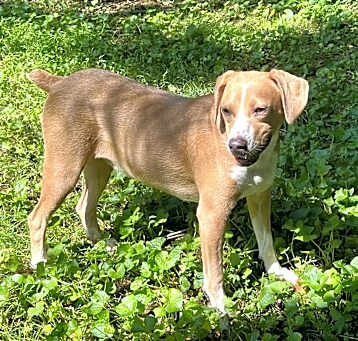 Photo of Xena
