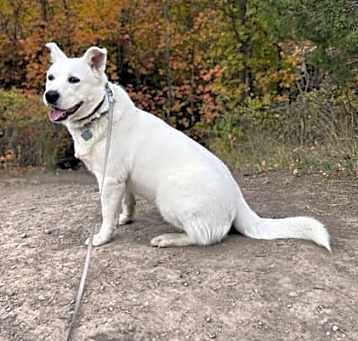 Photo of Shinju