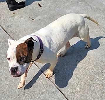 Photo of Peggy Bon Bons