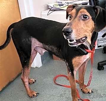 Photo of Jethro